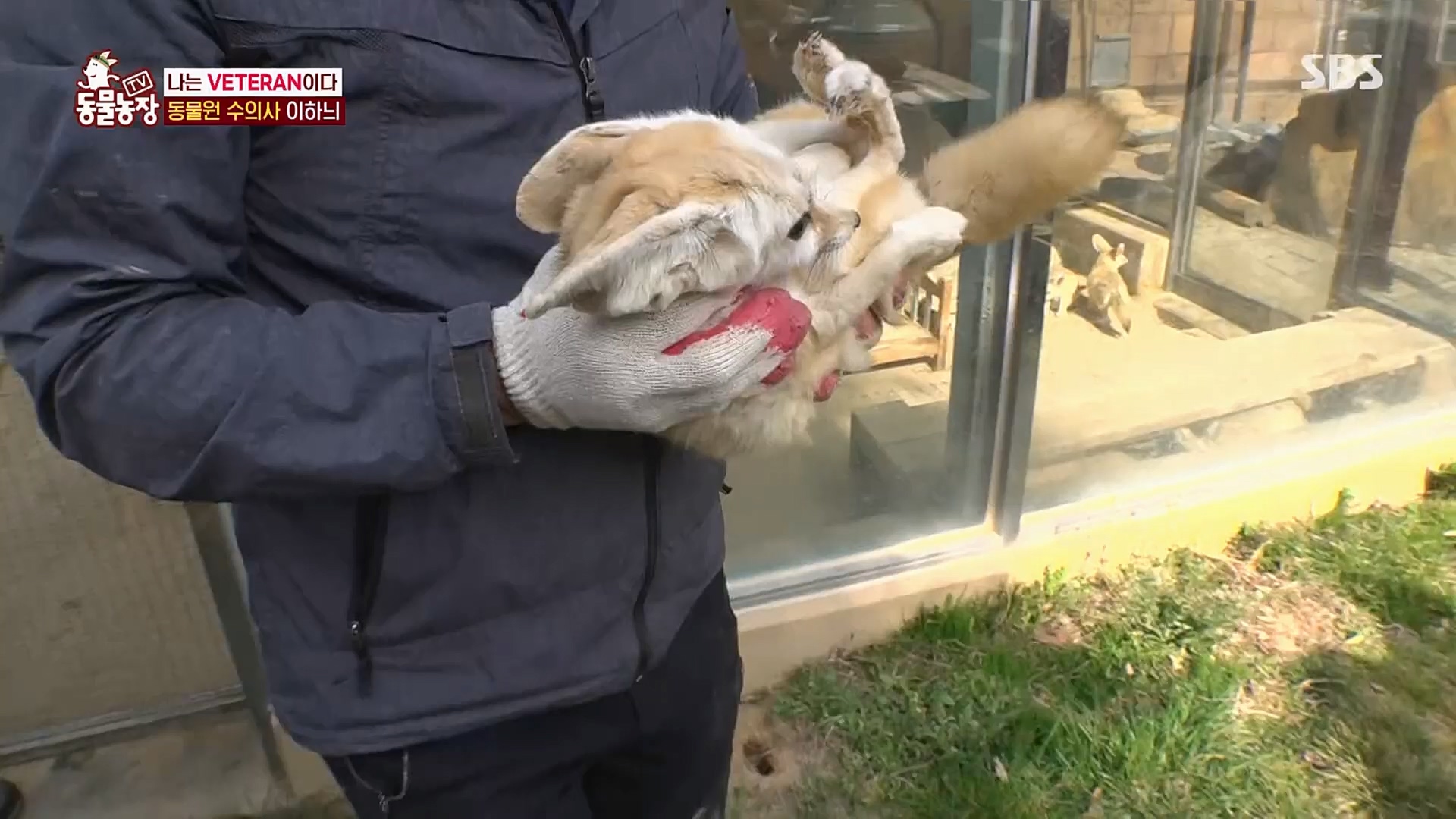 TV 동물농장.E1115.230409p.H264-F1RST.mp4_20230409_173044.650.jpg