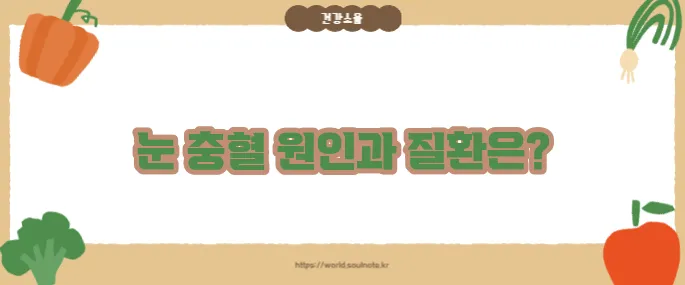 눈이 충혈되는 이유 (+의심 질환 정리)