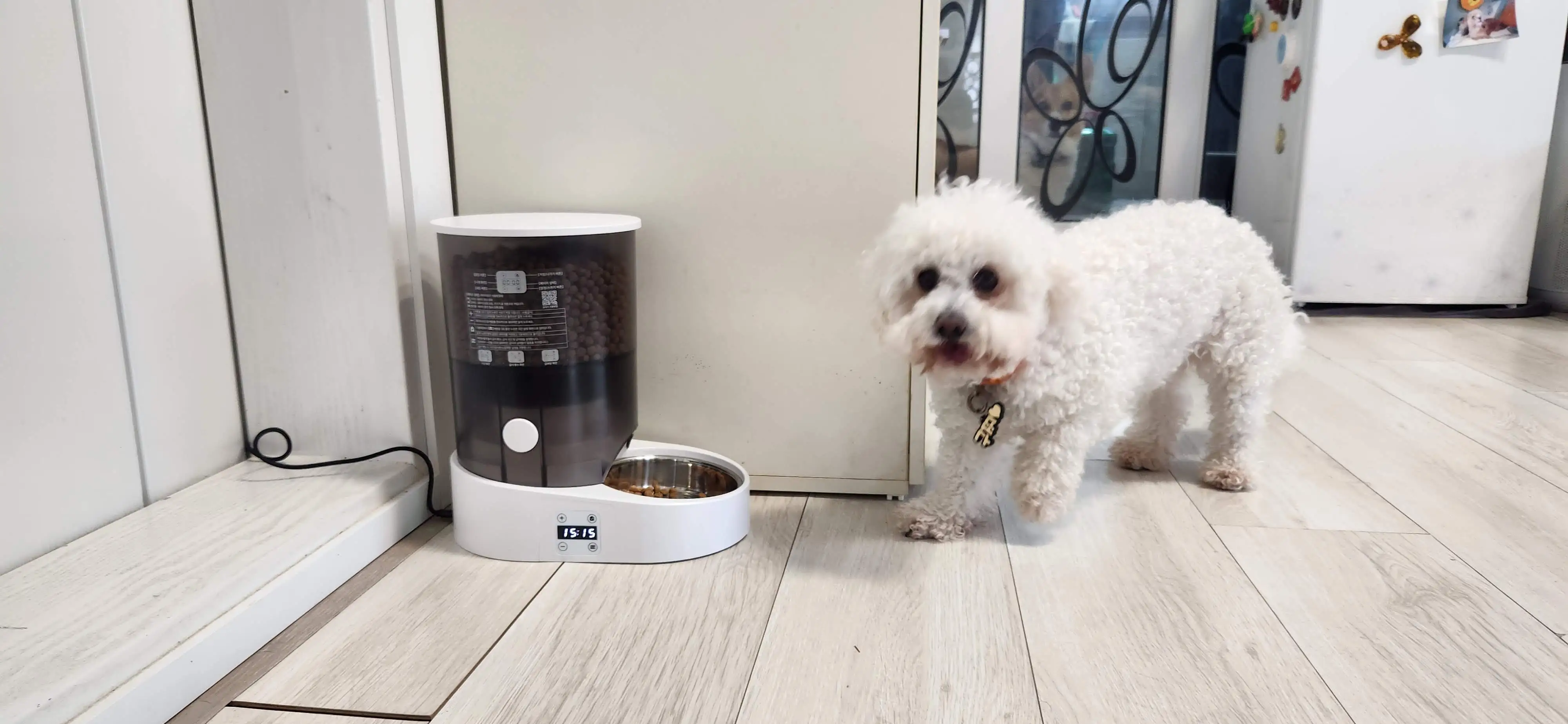 강아지-고양이-자동급식기