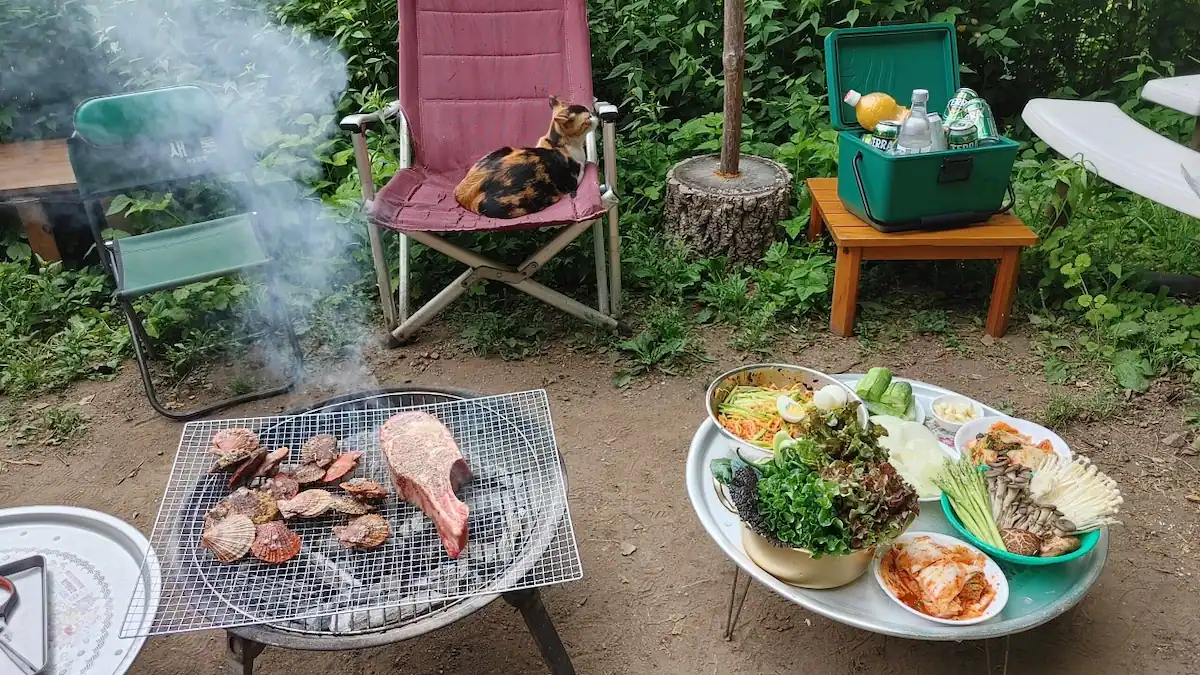 야옹이네 촌캉스 , sns 티비쇼프로그램