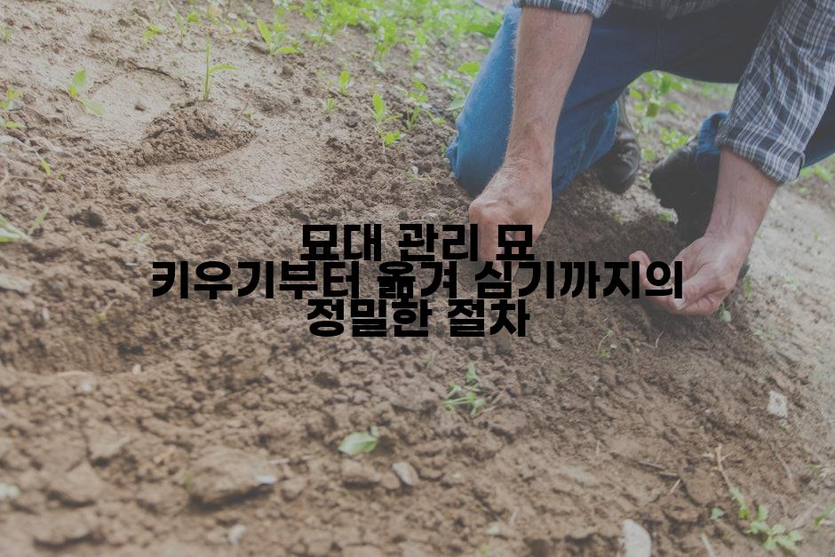 묘대 관리 묘 키우기부터 옮겨 심기까지의 정밀한 절차