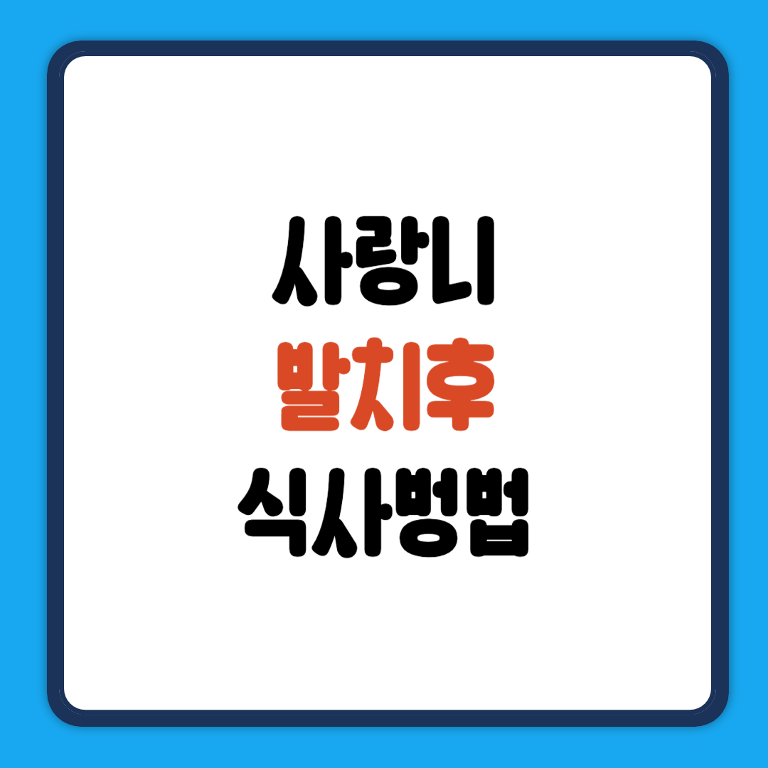 사랑니 발치후 식사방법