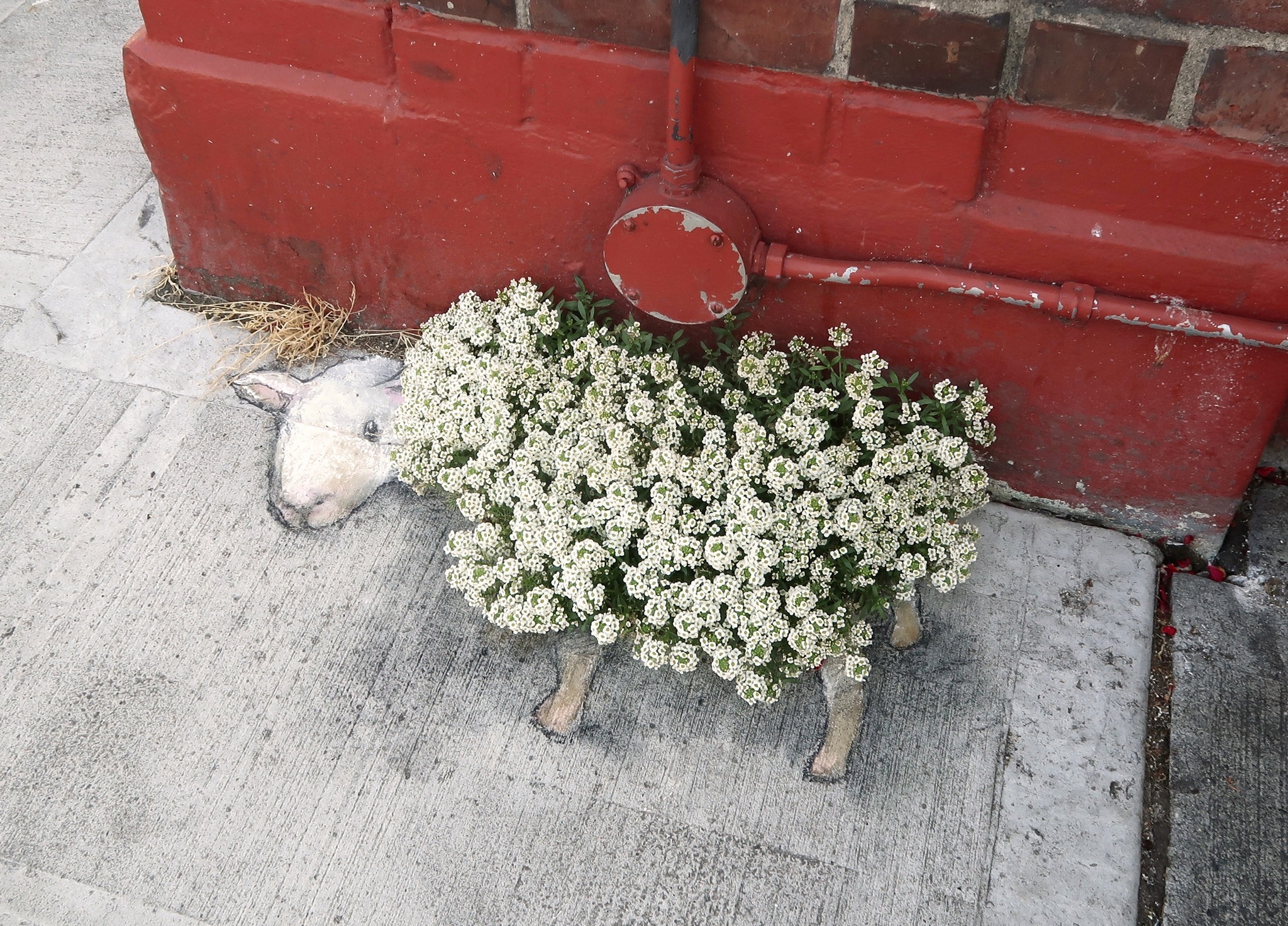 데이비드 진(David Zinn), 미국, 예술가, 1973-현재