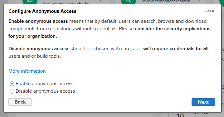Enable anonymous access 선택