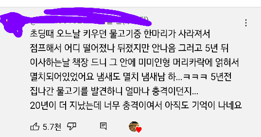 물고기 키우는 사람들이 겪어본 소름돋는 일화 (소름주의)