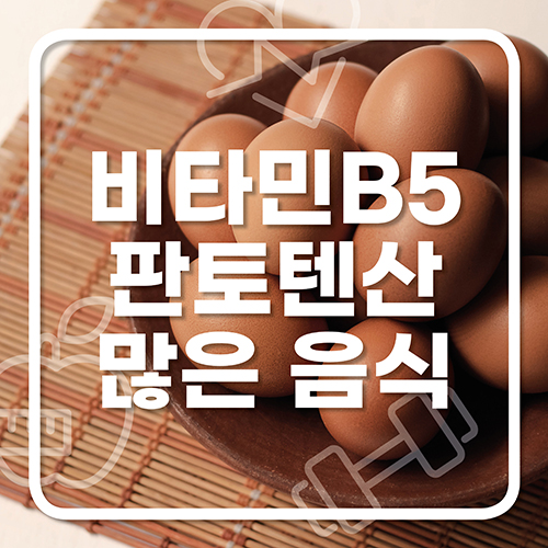  비타민 B5 많은 음식
