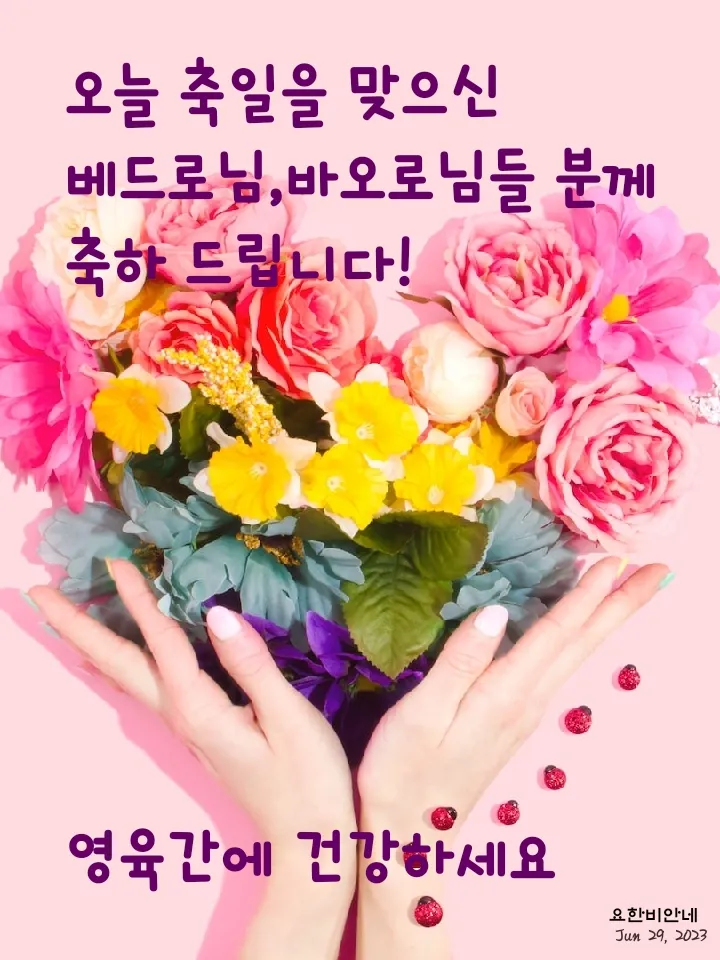 가톨릭 축일 대축일 전례력 의미 시기_3