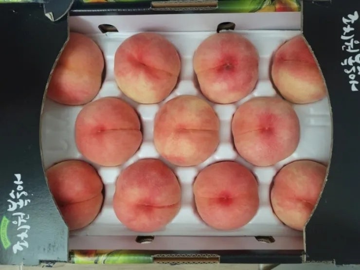 유일농장 이미지