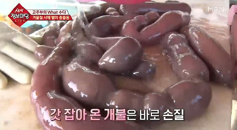 개불