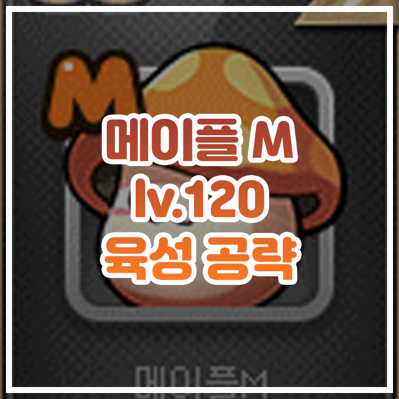 메이플M 120 육성 공략