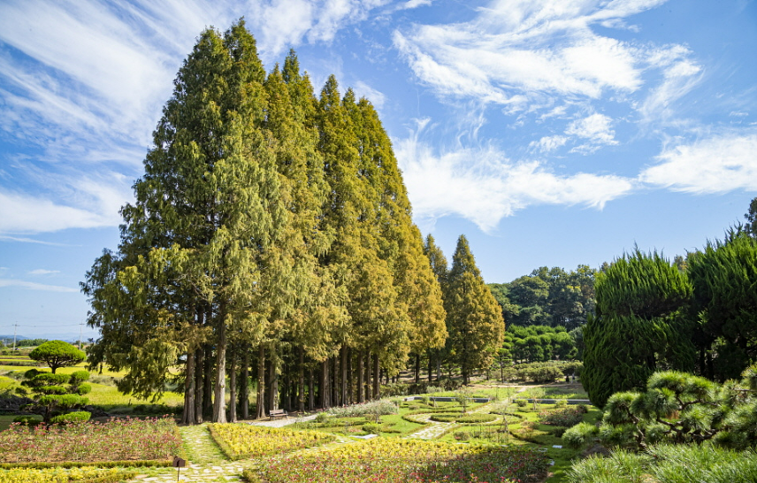 일회성 약속 추천 12 