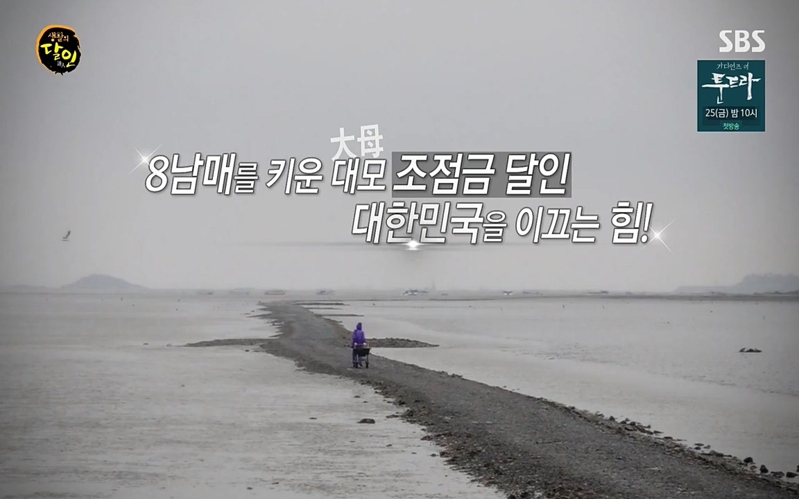 생활의 달인.E835.220322p-NEXT.mp4_20220322_183438.015.jpg