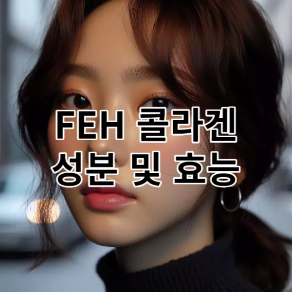 FEH 콜라겐 성분 및 효능&#44; 20대 한국인 여성