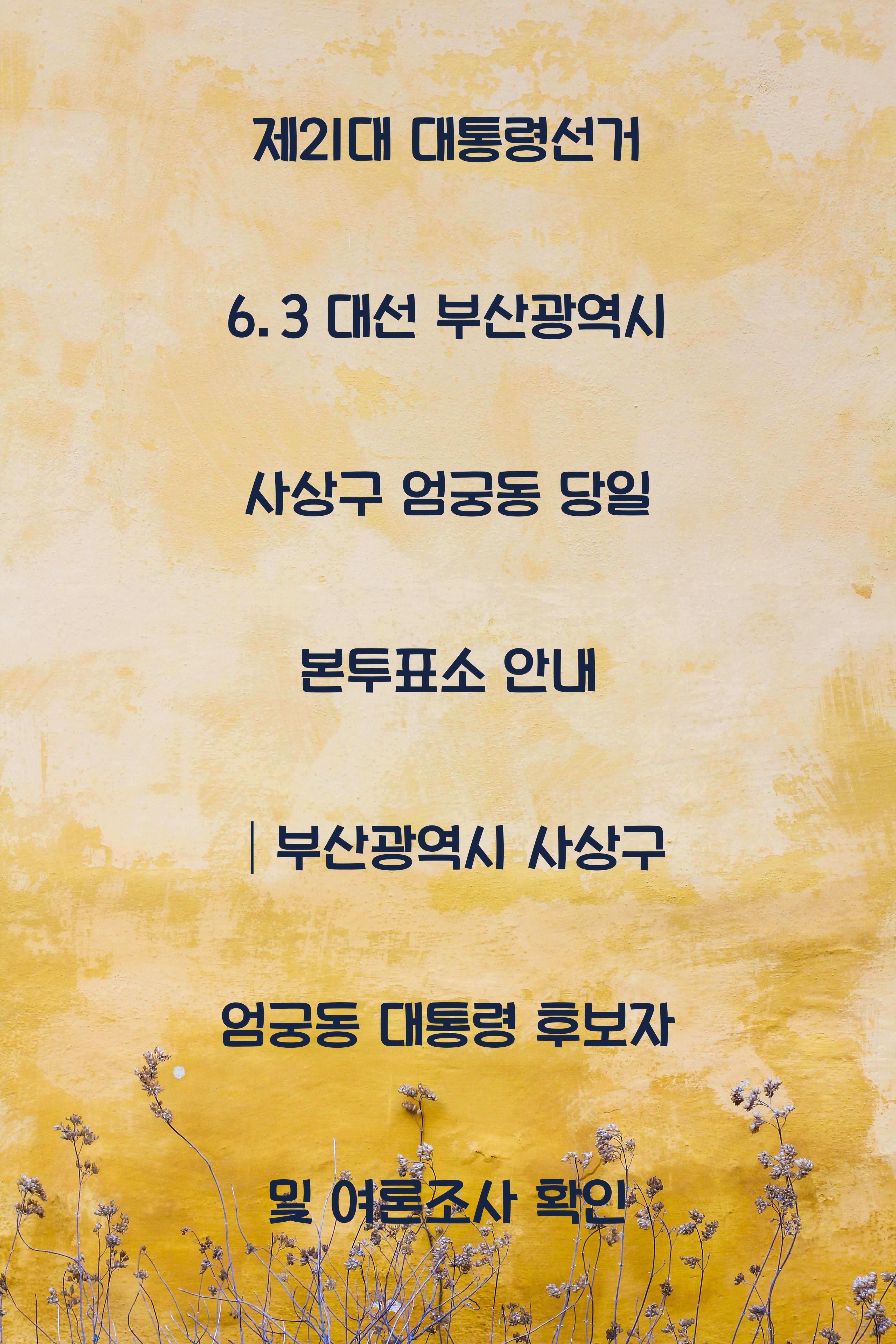 제21대 대통령선거 6.3 대선 부산광역시 사상구 엄궁동 당일 본투표소 안내 │부산광역시 사상구 엄궁동 대통령 후보자 및 여론조사 확인