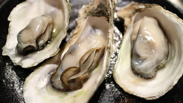 제철 굴 안전하게 맛있게 먹는 팁