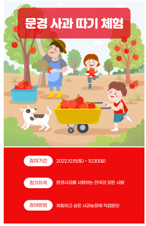 문경-사과축제