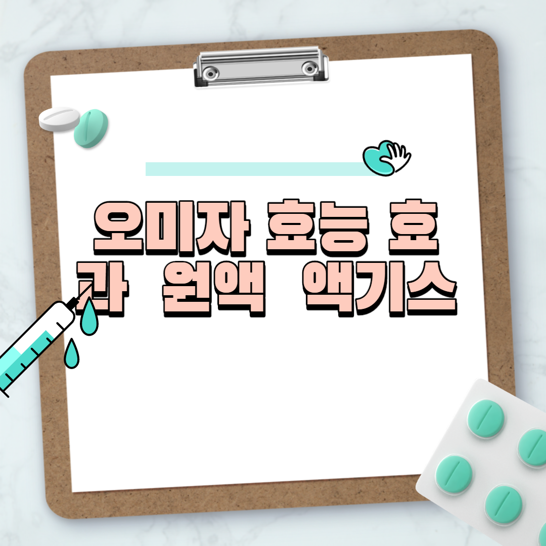 오미자 효능 효과  원액  액기스