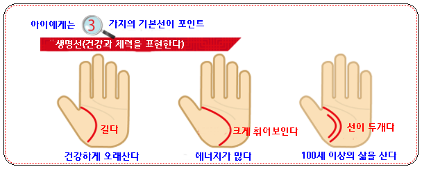  아이의 '손금' 으로  보는 포인트는?