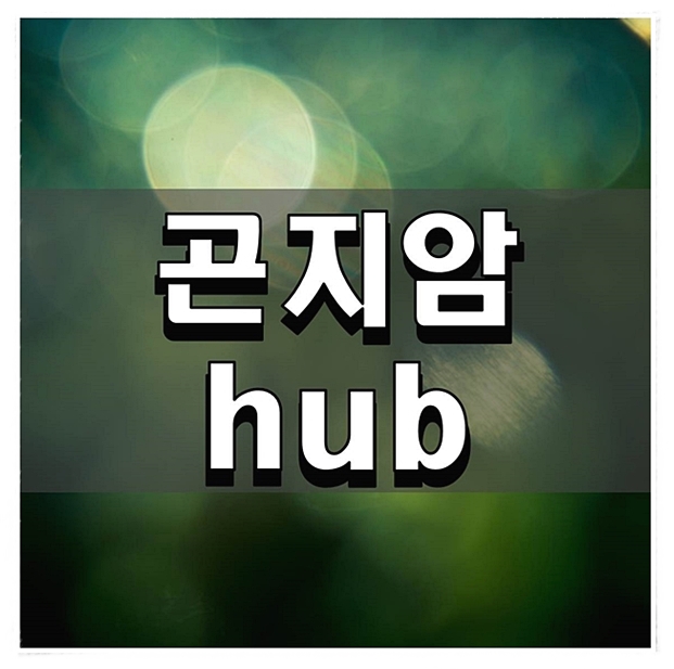  곤지암 hub 알아두면 좋은 것들 정리하기
