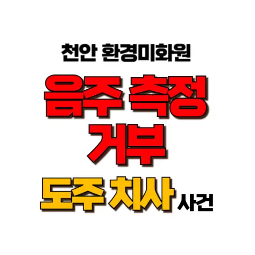 음주측정 거부 도주치사 썸네일