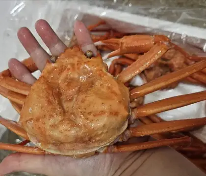 홍게