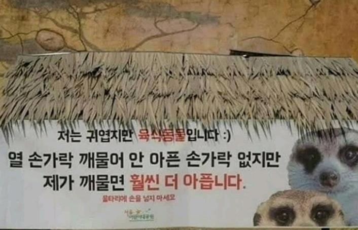  동물원 미어캣 경고문.jpg