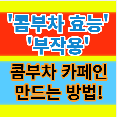  콤부차 효능 부작용 뜻 카페인 만드는 방법 알아보기