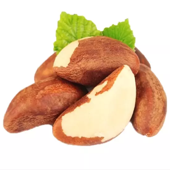 브라질너트(Brazil nut)
