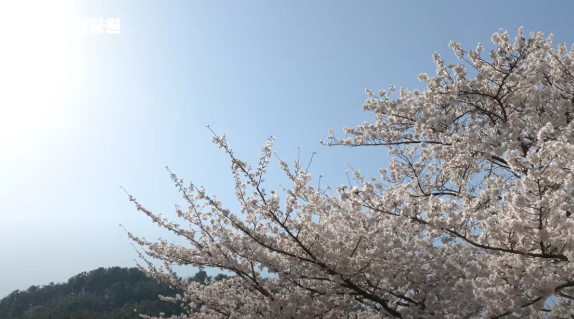 남도 여행지