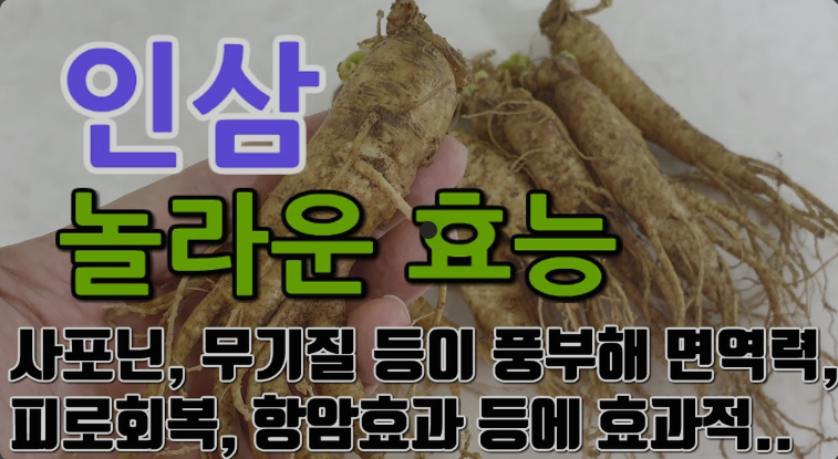  인삼 효능과 섭취 시 주의사항