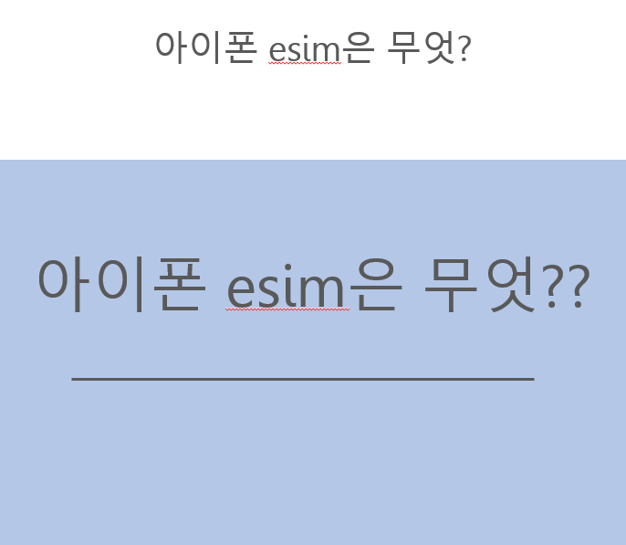 아이폰 esim은 무엇입니까