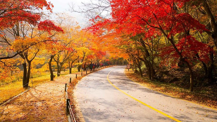 가을 단풍 명소 충청도 여행