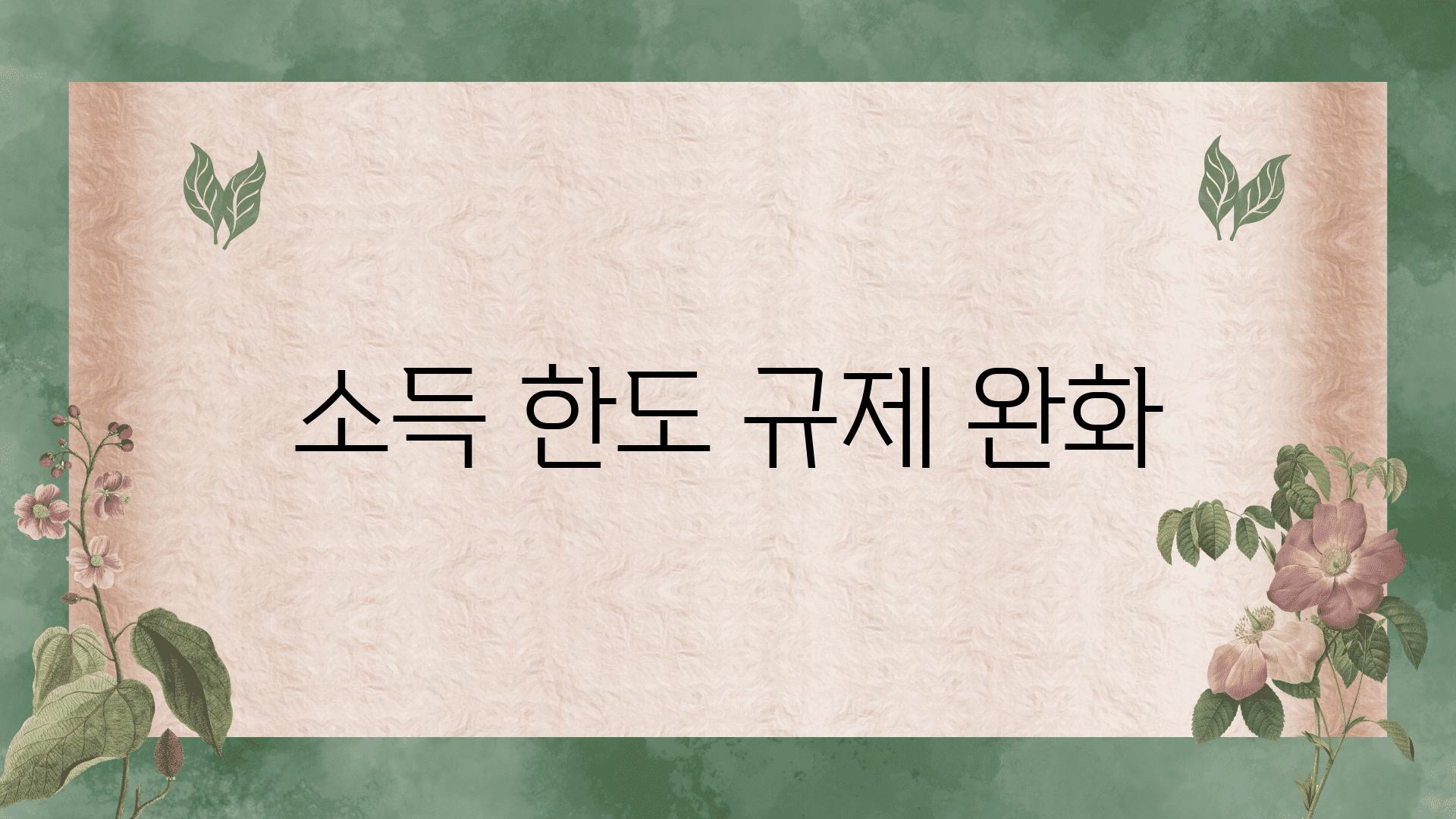 소득 한도 규제 완화