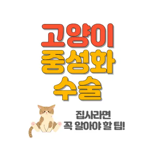고양이 중성화 수술