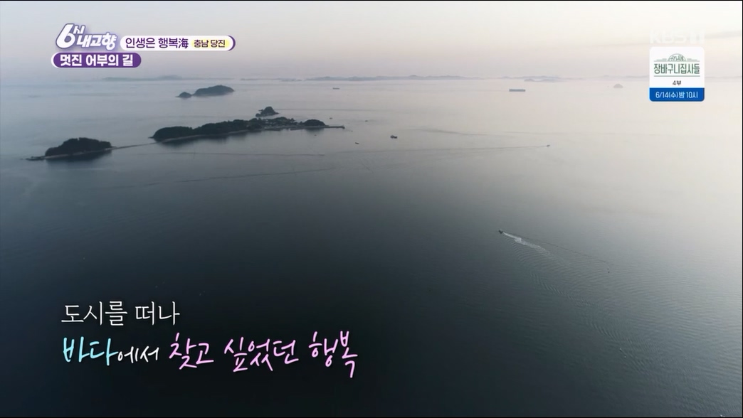 6시 내고향.E7806.230613p.H264-F1RST.mp4_20230614_205850.849.jpg