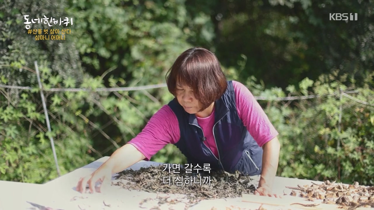 동네 한 바퀴.E242.230931p-NEXT.mp4_20231002_161501.394.jpg