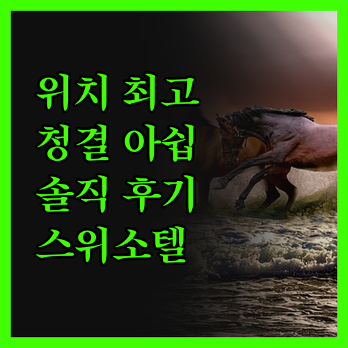 스위소텔 시드니, 위치는 최고! 그런