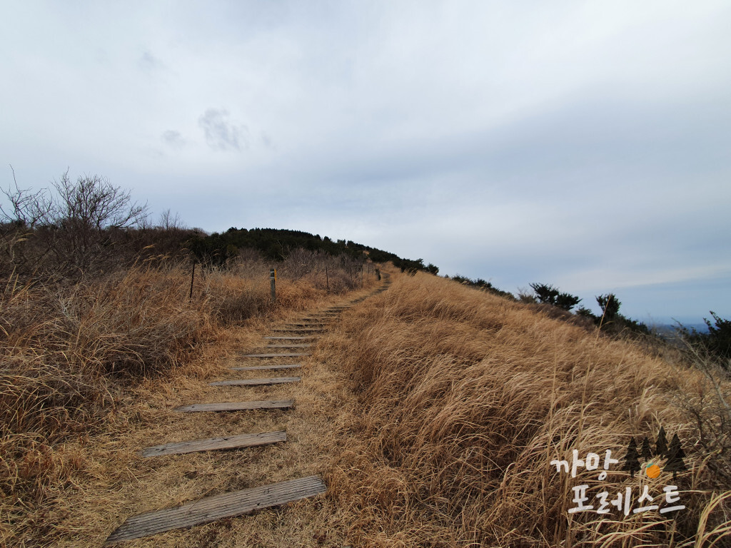 큰사슴이오름 등산로