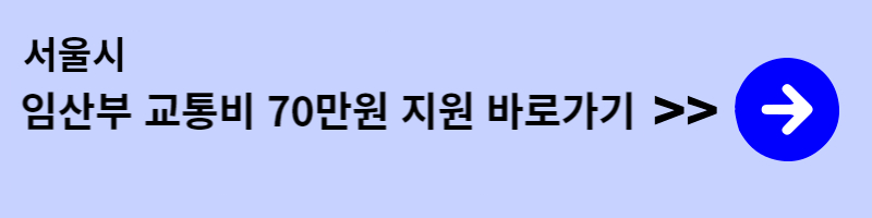 임산부-교통비-지원방법