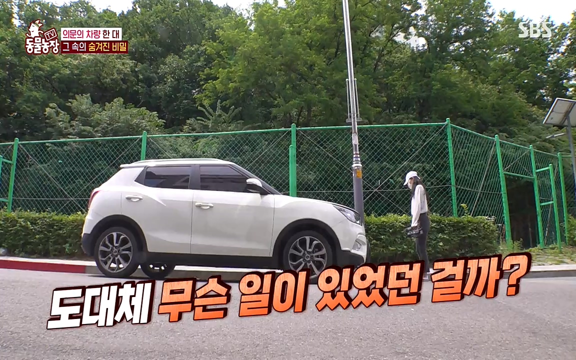 TV 동물농장.E1075.220627p-NEXT.mp4_20220626_175611.323.jpg