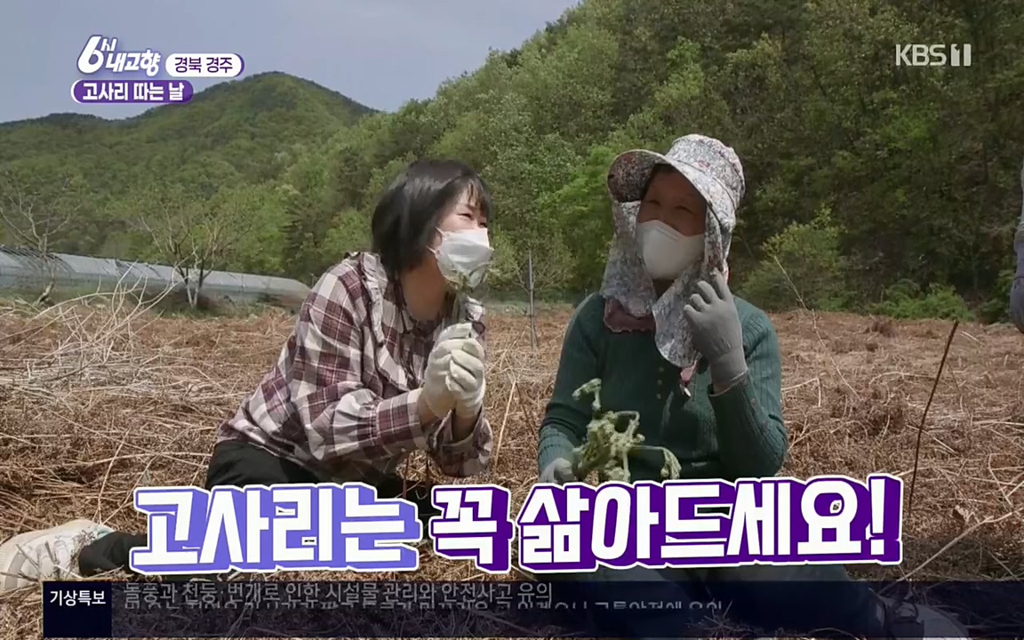 6시 내고향.E7518.220426p.H264-F1RST.mp4_20220504_185231.068.jpg