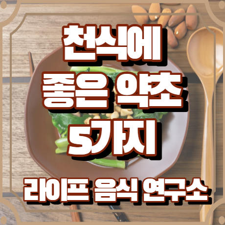 천식에 좋은 약초 5가지