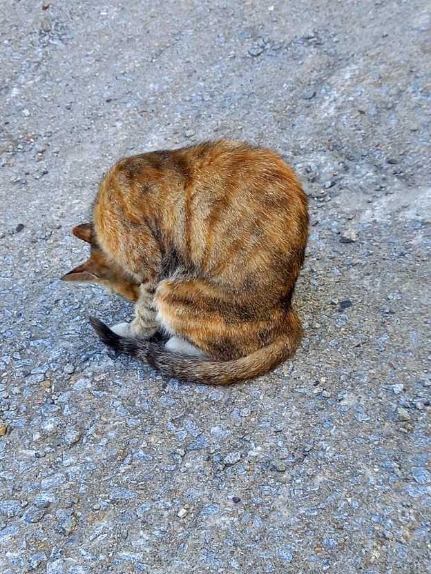 img.jpg