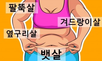 살과의 전쟁