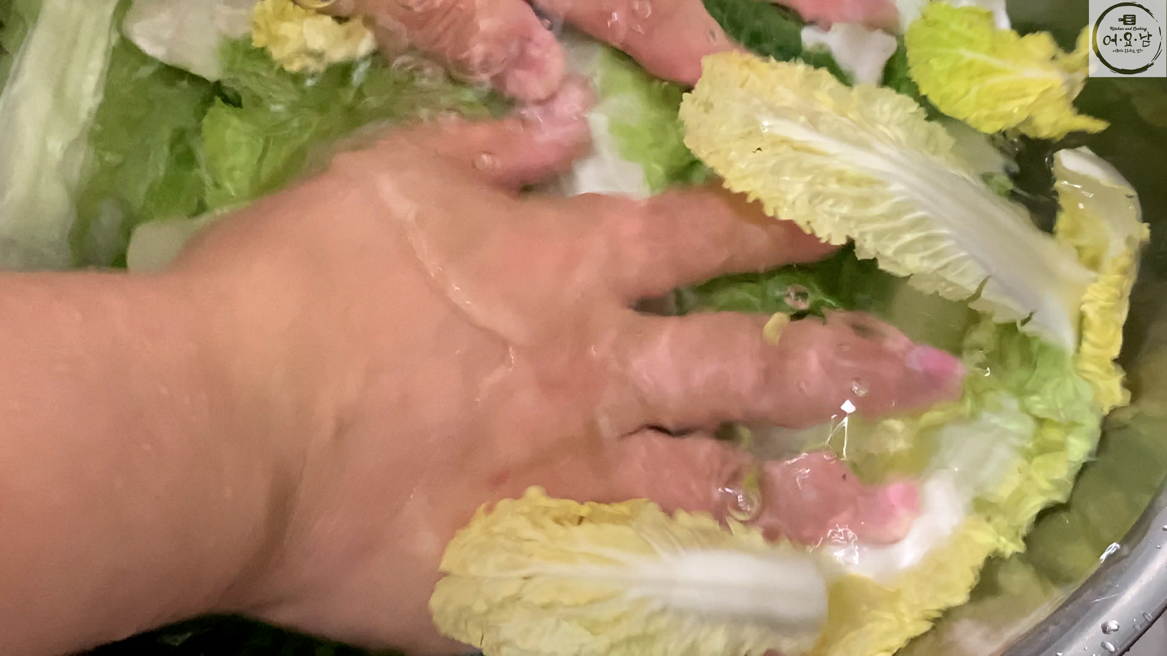 봄동무침-식초물에봄동헹구기