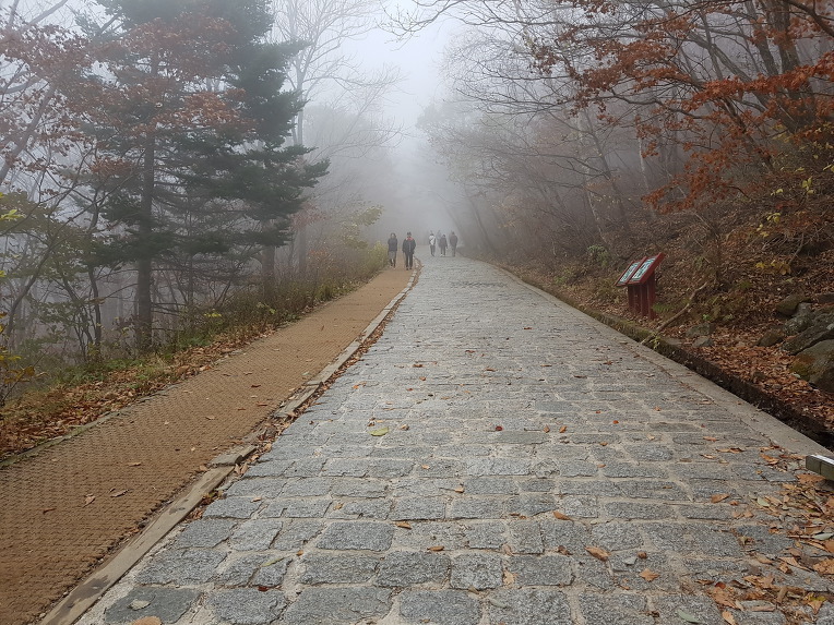  지리산 노고단 [성삼재휴게소~노고단대피소~노고단]