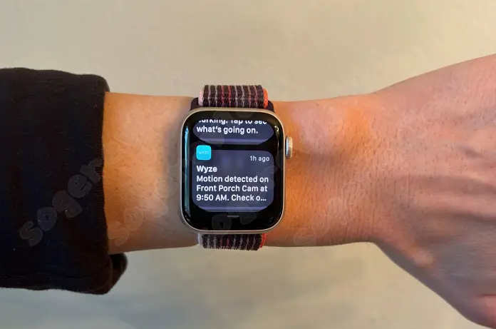 알림을 표시하는 Apple Watch SE