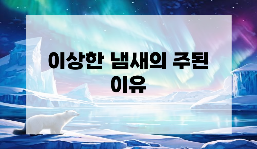 이상한 냄새의 주된 이유