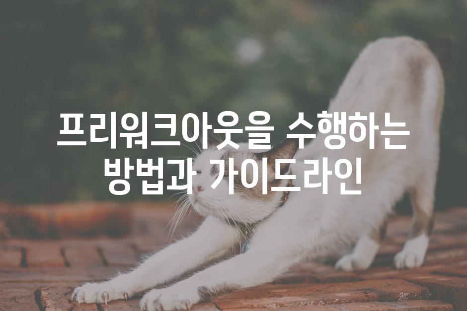 프리워크아웃을 수행하는 방법과 가이드라인