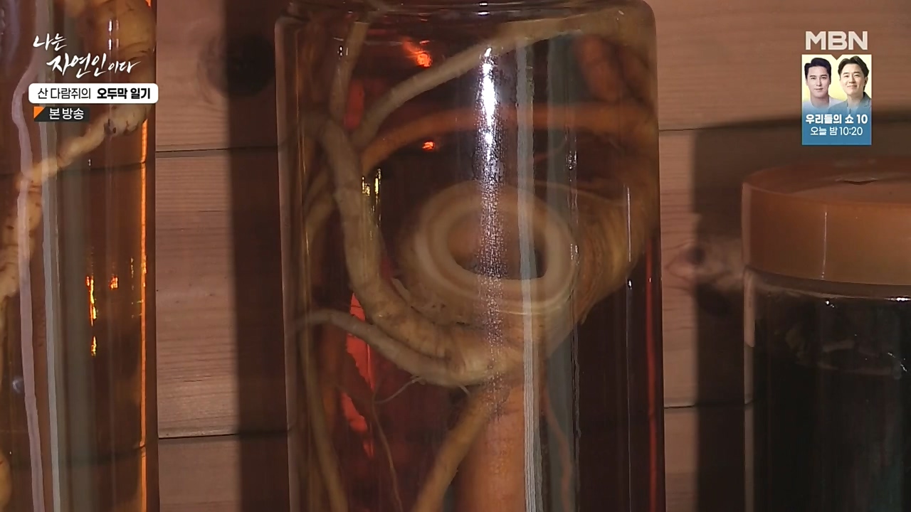 나는 자연인이다.E525.221027p-NEXT.mp4_20221027_192741.282.jpg